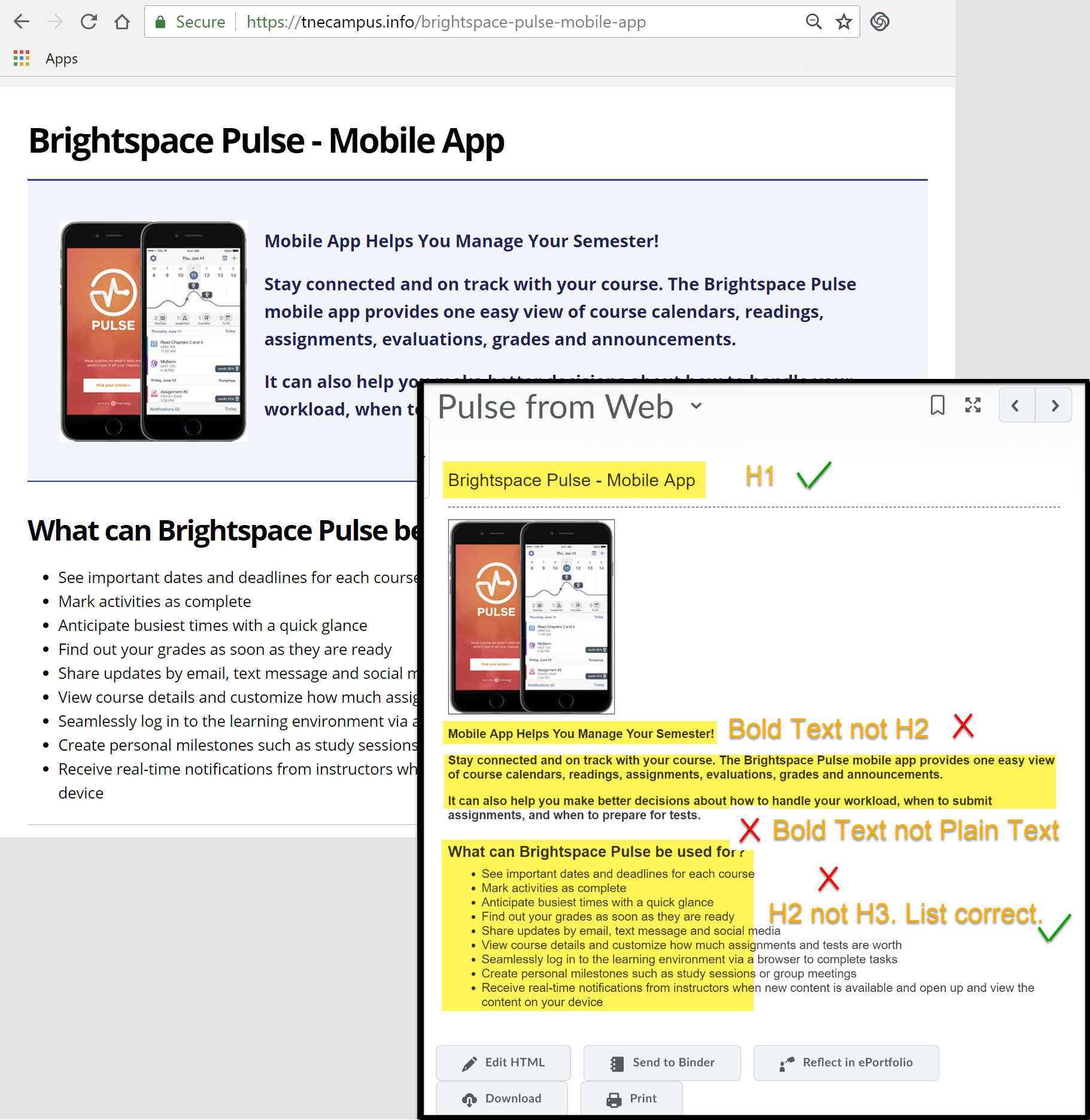 Pulse web page copied to HTML in Brightspace. H1 transfered, but bold text transferred as headings.