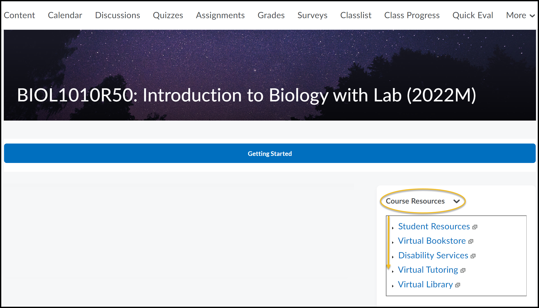 Course Resources highlighted from course homepage including Virtual Tutoring.