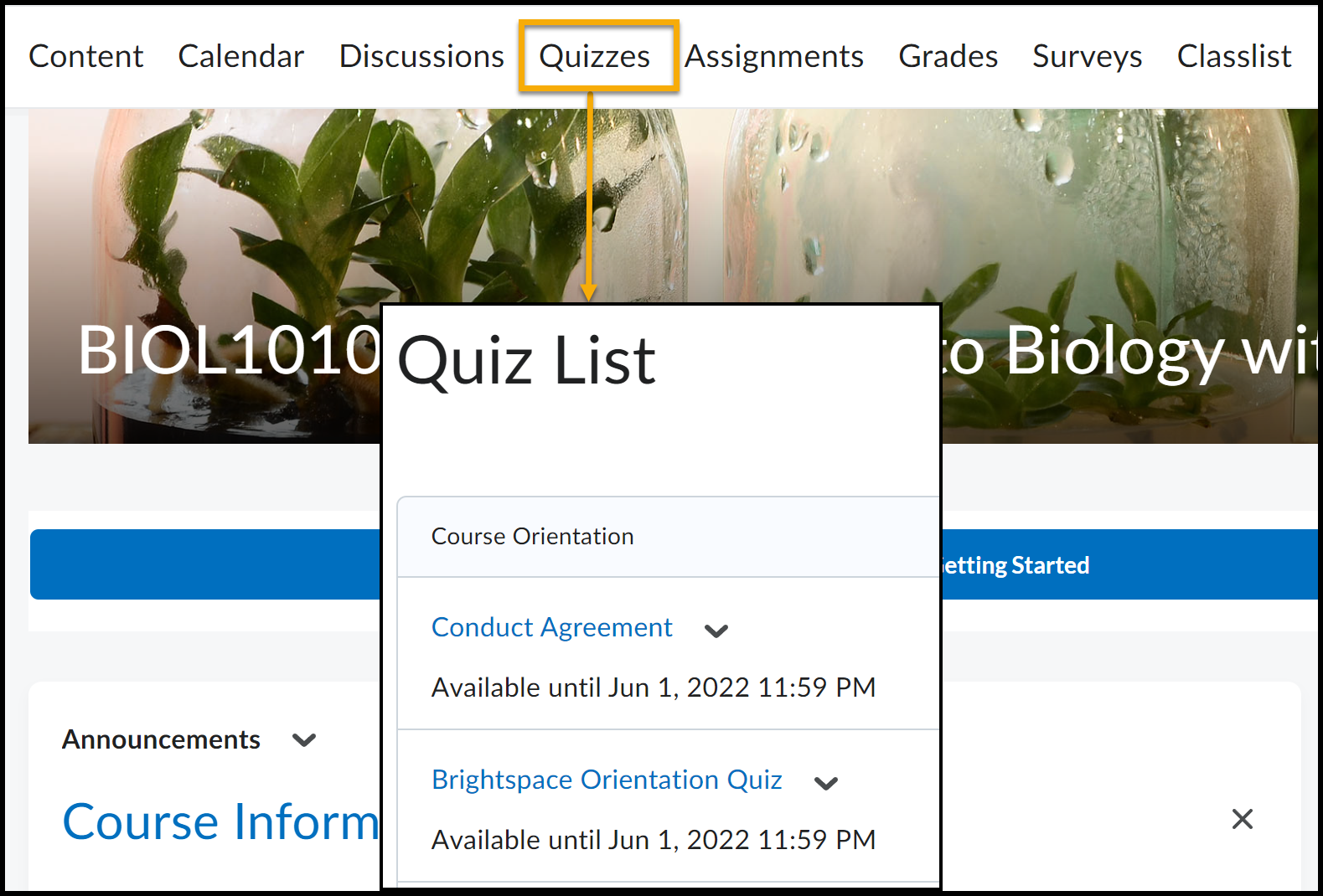 Quizzes highlighted on NavBar. Arrow points to expanded window for Quiz List.